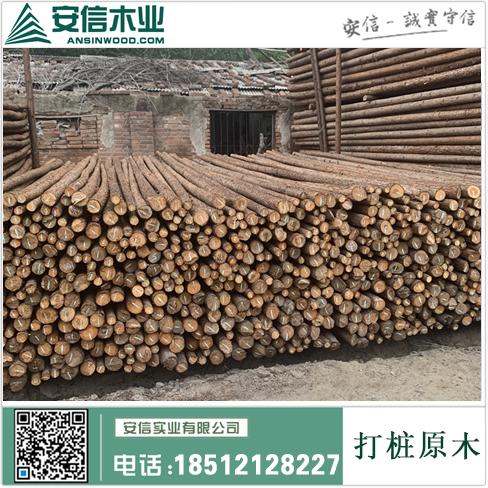 沭阳打桩木批发市场-打造木材行业的贸易中心插图