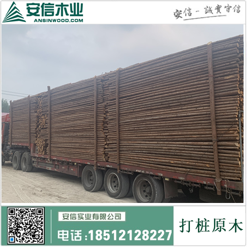 台州打桩木板专卖，品质保证，价格实惠插图