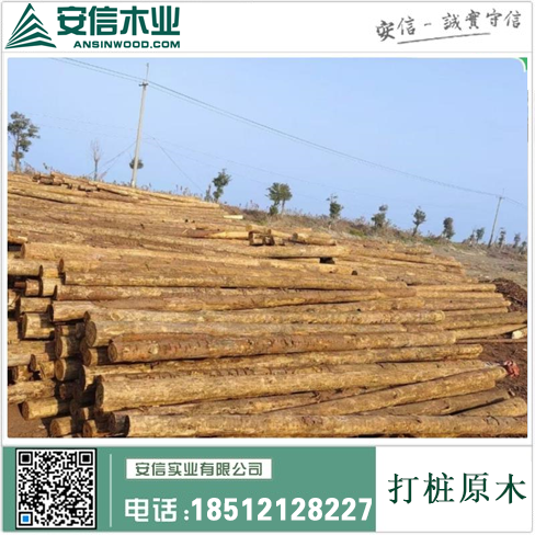 海南5米打桩木供应，稳固基础，助力工程建设插图