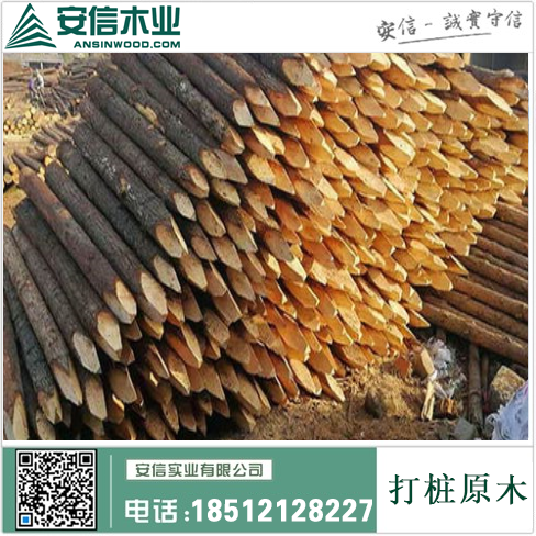 广东打桩木批发市场:打造最全最优质的木材采购平台插图1