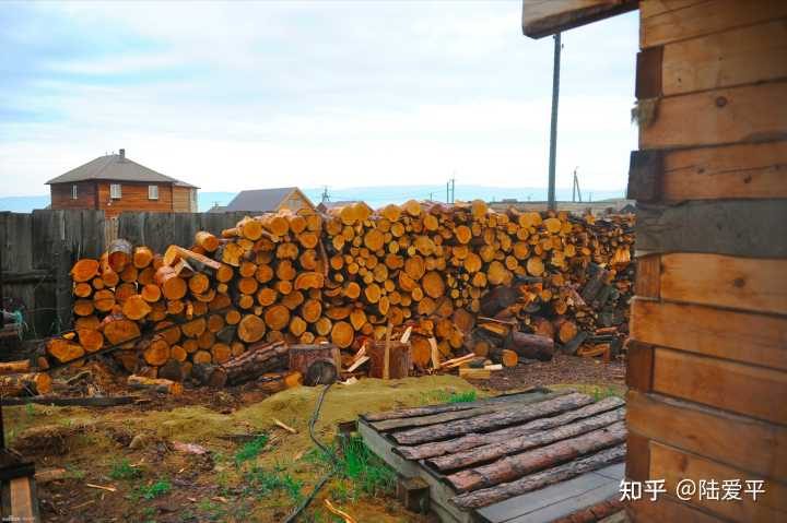 樟子松落叶松和云杉锯材为主的俄罗斯木材进口贸易怎么做？缩略图