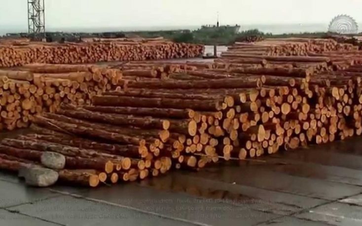 宽甸乌克兰旨在取代俄罗斯,白俄罗斯在世界木材市场缩略图