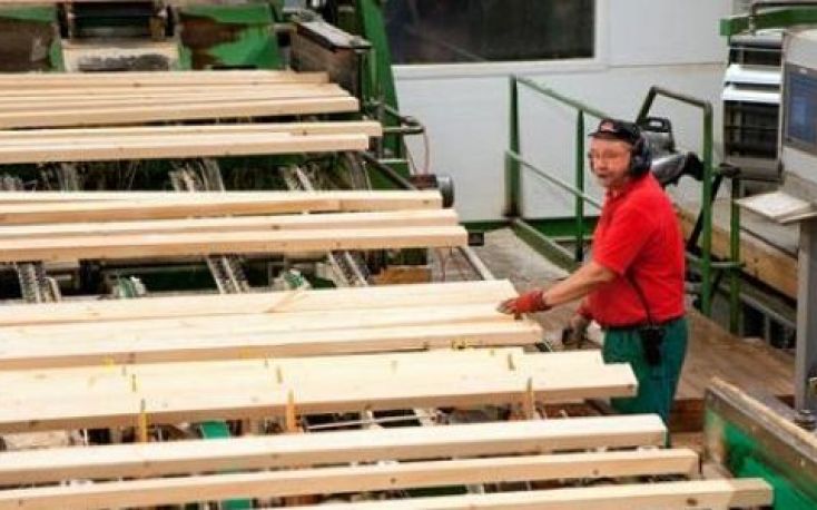 俄罗斯木材公司陷入严重亏损;寻求政府的帮助缩略图
