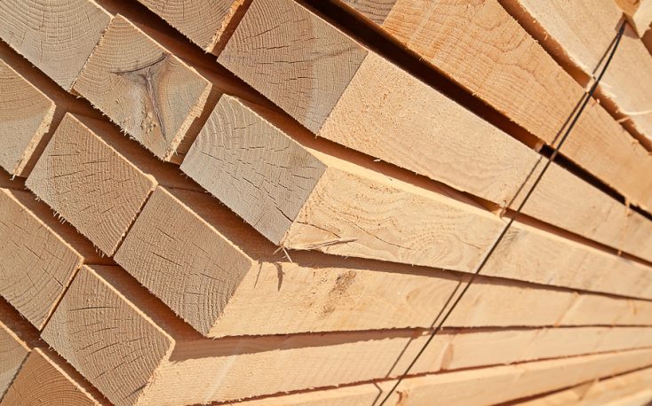 汉川北美木材价格明年将上升缩略图