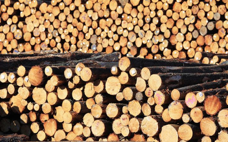 奥地利:软木日志价格正在下降,能源木材价格增加明显缩略图