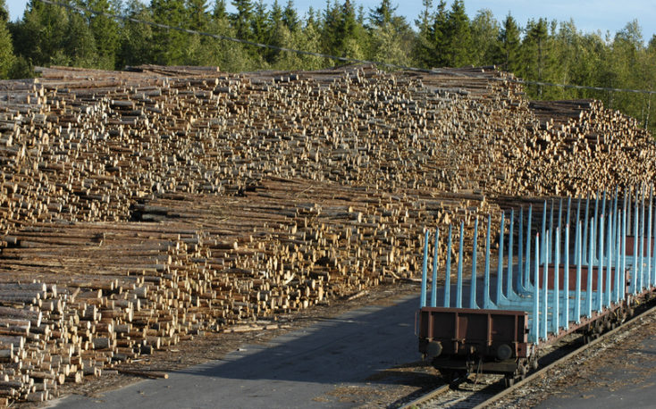 芬兰:木材生产和价格今年将上升缩略图