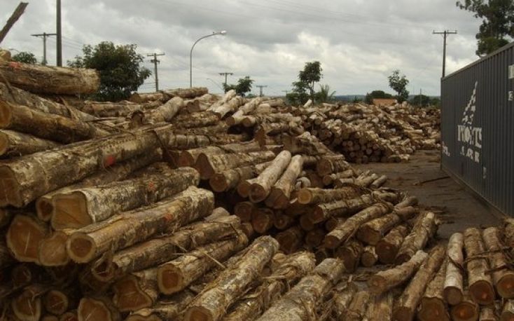中国木材行业寻找其他进口能源来缓解澳大利亚供应的影响缩略图