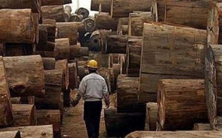 非洲热带木材需求,价格上涨宽松缩略图